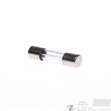 Saugiklis S10 5x20mm 3.15A (stiklas)