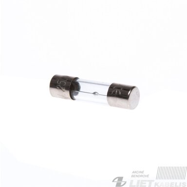 Saugiklis S10 5x20mm 4A stiklas (10vnt)