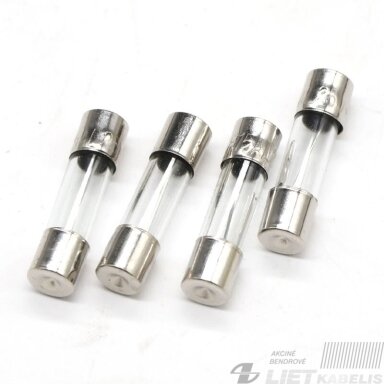 Saugiklis  S20 5x20mm 0.1A stiklas (10vnt)