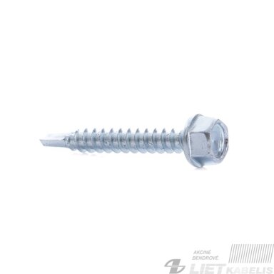 Savisriegis 4.2x25 DIN7504K