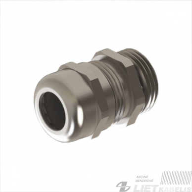 Sandariklis Skintop MS-SC PG16 1