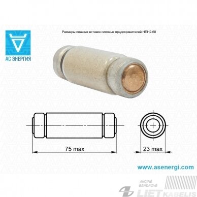 Saugiklis NPN-2-60(smėlio) 16A 1 Saugiklis NPN-2-60(smėlio) 16A 1