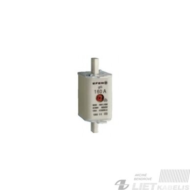 Saugiklis WT-2C 63A Saugiklis WT-2C 63A