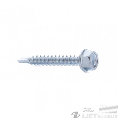 Savisriegis 4.2x25 DIN7504K Savisriegis 4.2x25 DIN7504K