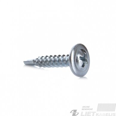 Savisriegis metalui su galvute 4.2x22mm ,DIN14566, Haushalt Savisriegis metalui su galvute 4.2x22mm ,DIN14566, Haushalt
