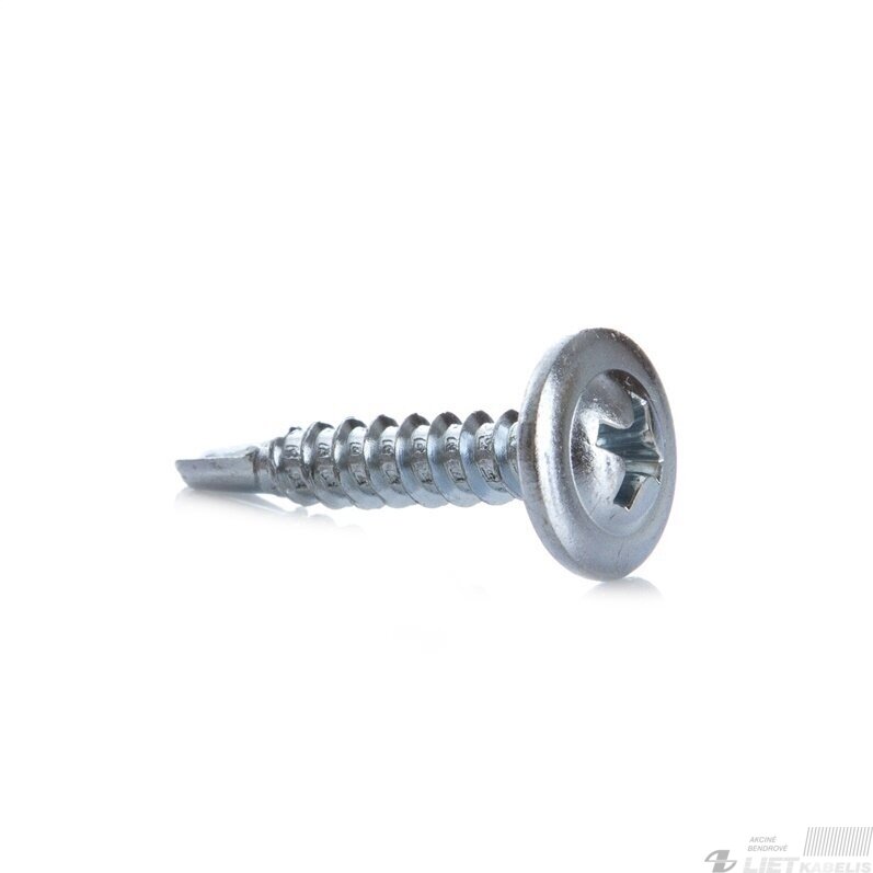Savisriegis metalui su galvute  4.2x22mm ,DIN14566, Haushalt