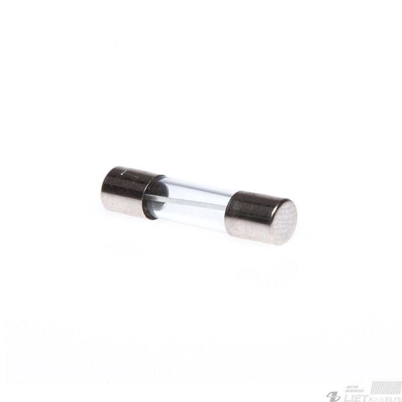 Saugiklis S10 5x20mm 10A (stiklas)