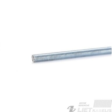 Strypas M5x1000 ZN Strypas M5x1000 ZN