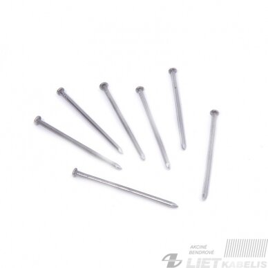 Statybinės vinys  3.0x80mm