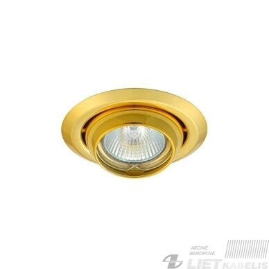 Įleidžimas šviestuvas ARGUS CT-2117, 50W, Gx5,3, IP20, Kanlux