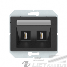USB LIZDAS, 2 VIETŲ (2XUSB), BE RĖMELIO ,XP500, antracito spalva, Vilma