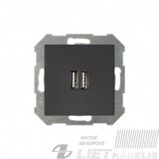 USB lizdas kroviklis 2 vietų IUK-2-01 potinkinis, be rėmelio, Epsilon, Liregus