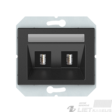 USB LIZDAS, 2 VIETŲ (2XUSB), BE RĖMELIO ,XP500, antracito spalva, Vilma