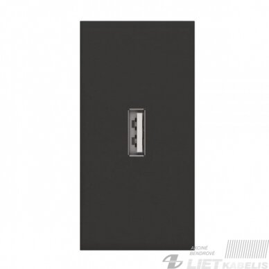 USB lizdas 1/2 be rėmelio juodas, Spring USB lizdas 1/2 be rėmelio juodas, Spring