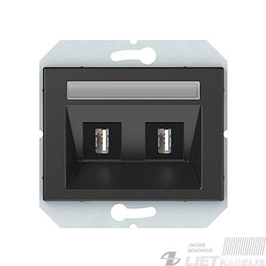 USB LIZDAS, 2 VIETŲ (2XUSB), BE RĖMELIO ,XP500, antracito spalva, Vilma USB LIZDAS, 2 VIETŲ (2XUSB), BE RĖMELIO ,XP500, antracito spalva, Vilma