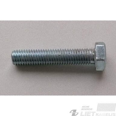 Varžtas M10x50 DIN933 ZN