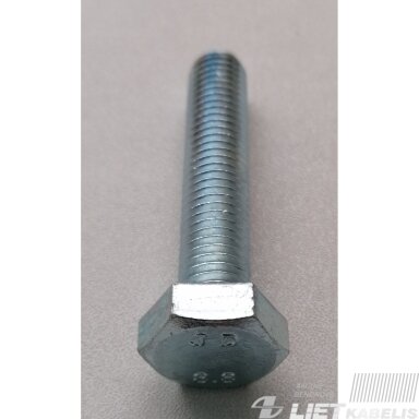 Varžtas M12x60 DIN933 ZN