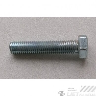 Varžtas M10x50 DIN933 ZN Varžtas M10x50 DIN933 ZN