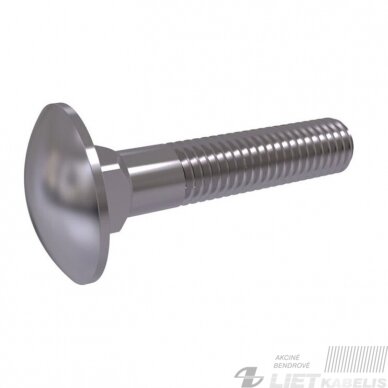Varžtas M8x60 DIN603 ZN Varžtas M8x60 DIN603 ZN