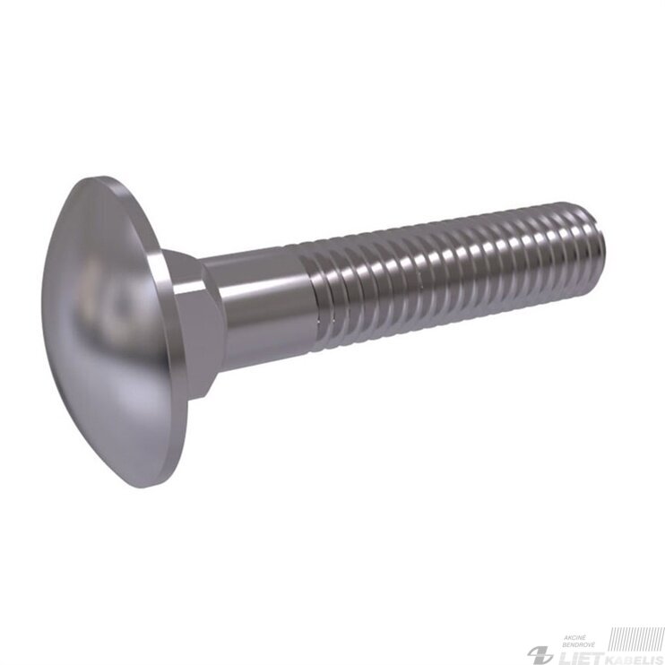 Varžtas M8x60 DIN603 ZN