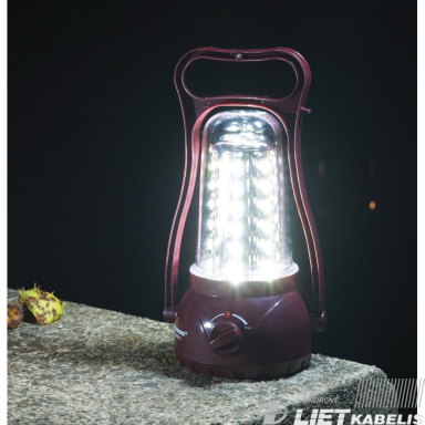 Žibintas LED TS690-2, Tiross